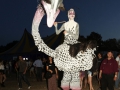 Bruisfestival